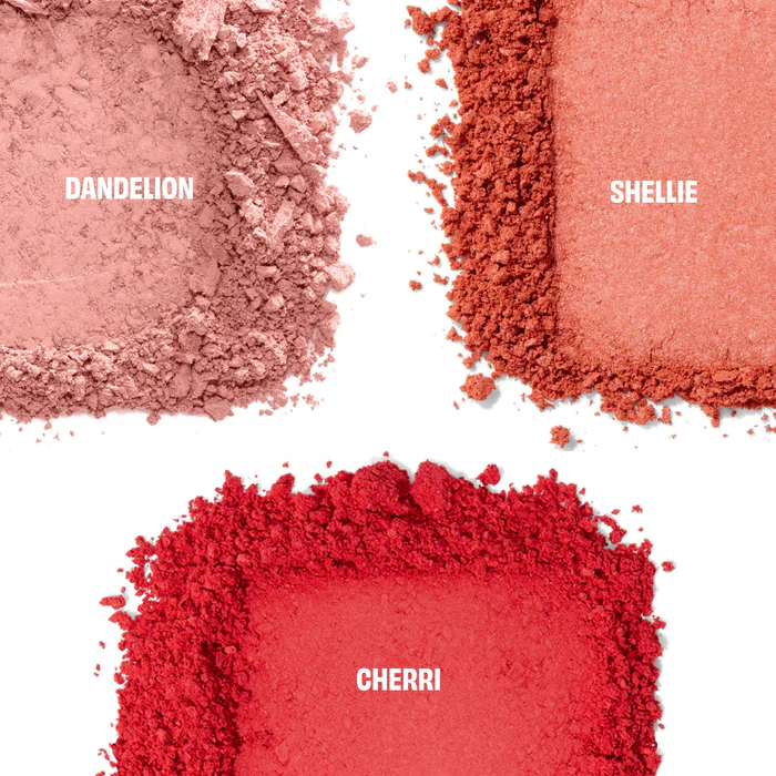 benefit-benefit-chocolotta-blush-mini-blush-palette-31836167536725_700x