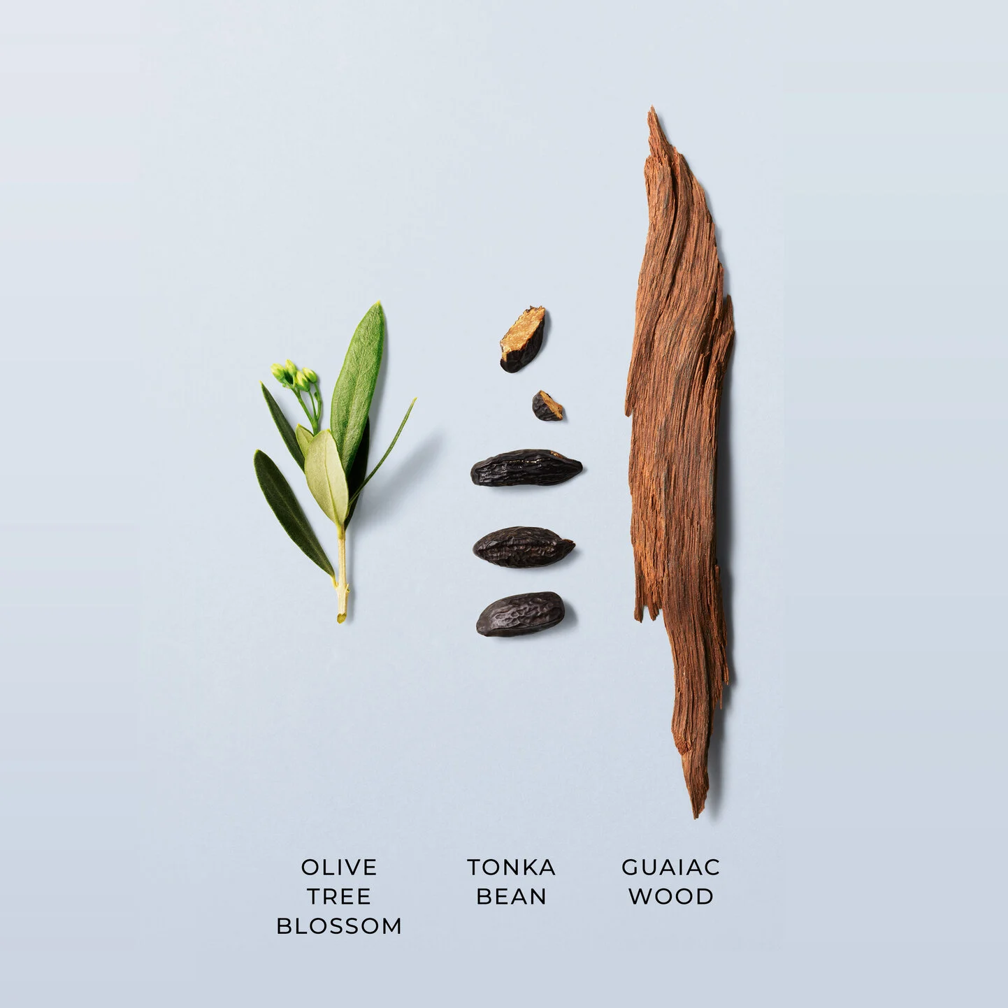 GAB-6519_Retailer_2020_October_Ingredient-Text-Overlay_CodeEDT