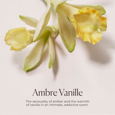 LM_1Q25_BB_AMBRE_VANILLE_PDP_SCENT_INGREDIENT_3000x3000_2e740f01-46ae-4a7d-83a2-305ad18a4372