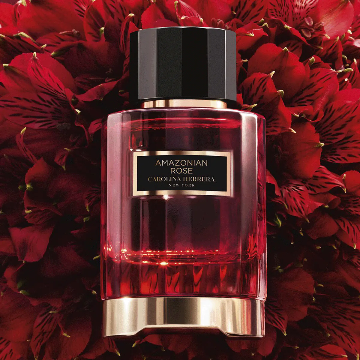 Amazonian-Rose-Perfume-by-Carolina-Herrera-Eau-de-Parfum-For-Unisex-100ml-3-4fd4ba6b