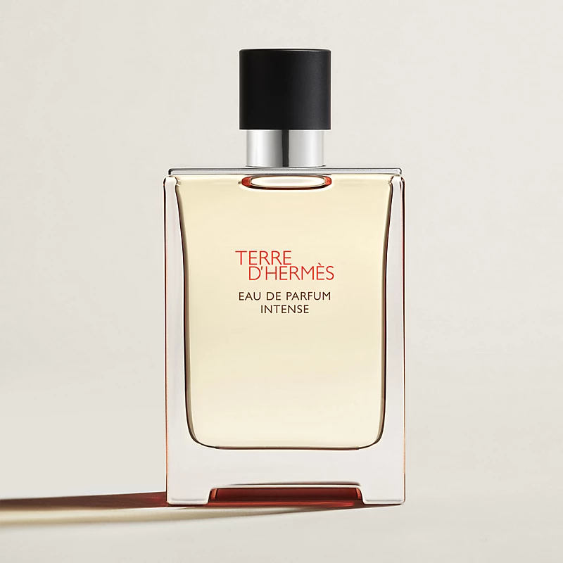 terre-d-hermes-eau-de-parfum-intense--111231V0-front-wm-1-0-0-800-800_g